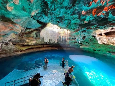 Tips for Devil's Den Prehistoric Springs: A Hidden Florida Oasis - Florida Trippers