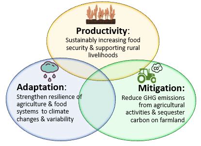 Climate Smart Agriculture Policy | Center for Environmental Policy ...