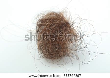 Tuft of hair Stock Photos, Images, & Pictures | Shutterstock