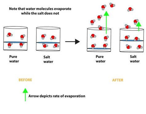 How Quickly Does Water Evaporate at Delores Kessler blog