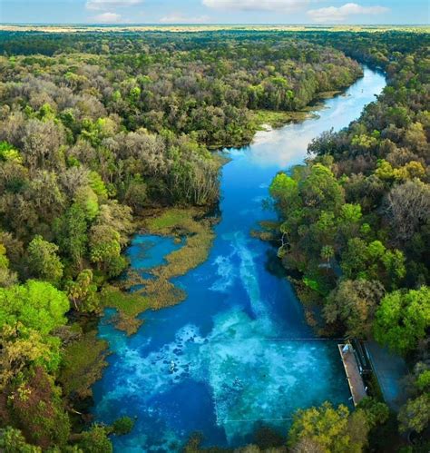 Tips for Rainbow Springs State Park: A Florida Oasis - Florida Trippers