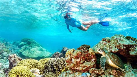 Snorkeling in Daymaniyat Island - Muscat Sea Tours