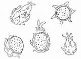 30  Dragon Fruit Coloring Pages Free Printable PDF JPG PNG & Online sketch template