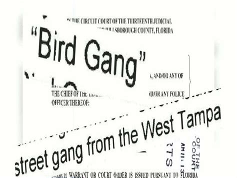 Gang feud puts City of Tampa in danger - abcactionnews.com WFTS-TV