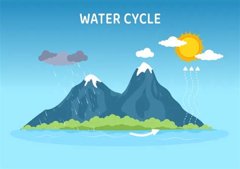 Explanation Of Water Cycle Illustration - Free Download School ...