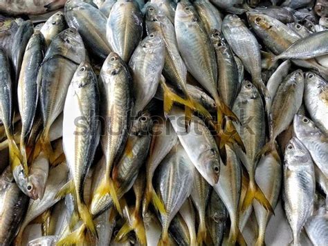 Manfaat Ikan Ekor Kuning, Ketahui Nutrisi dan Cara Memasaknya yang Benar