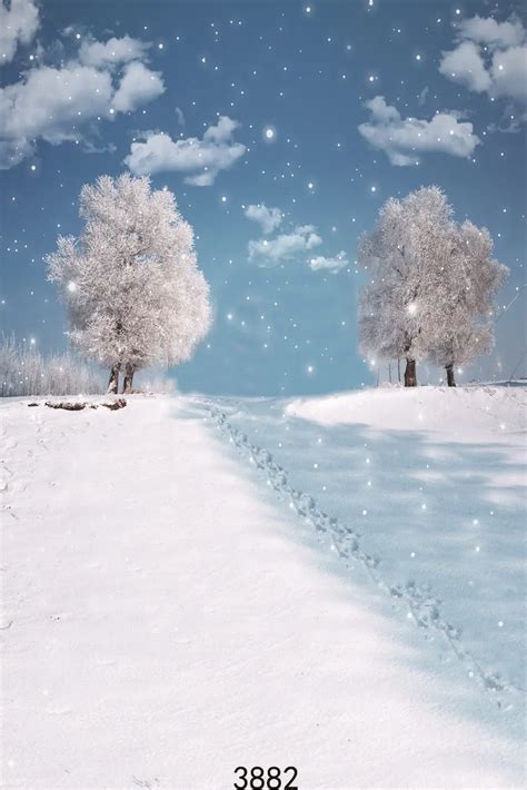 Photography Backdrops Winter Snowy Vinyl Photo Background for Studio ...