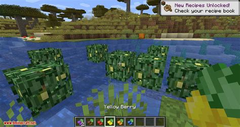 Berry Bushes Mod 1.15.2/1.14.4 (Randomly Spawn Berry Bushes with ...