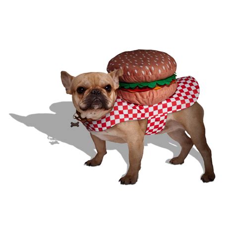 Bootique Hamburger Costume for Dogs & Cats, XX-Small | Petco