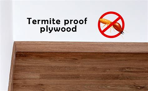 Why Should You Use Termite Proof Plywood To Build Home Furniture?