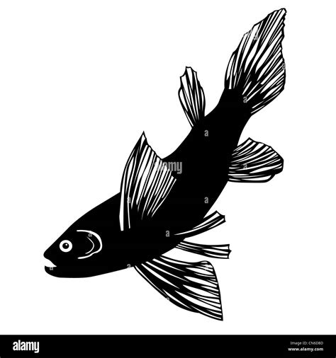 silhouette of fish on white background Stock Photo - Alamy