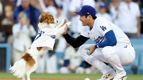 Shohei Ohtani and his dog, Decoy, star together at Dodger Stadium | CNN