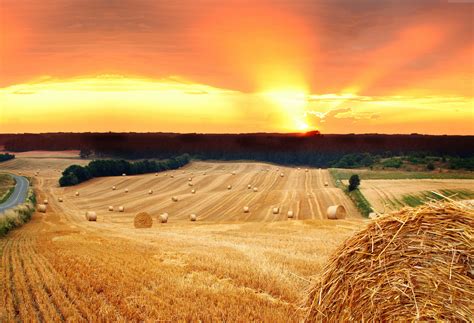 Brown sands farm with brown sunrise photography HD wallpaper | Wallpaper Flare