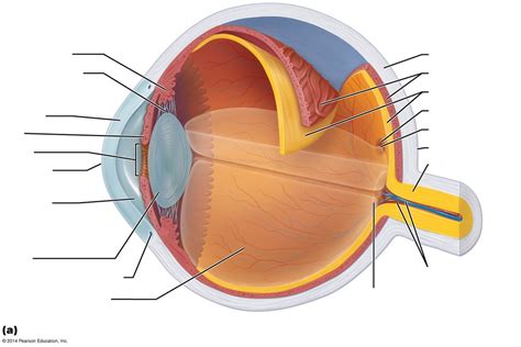 Internal Structure Of The Earth Quizlet - The Earth Images Revimage.Org