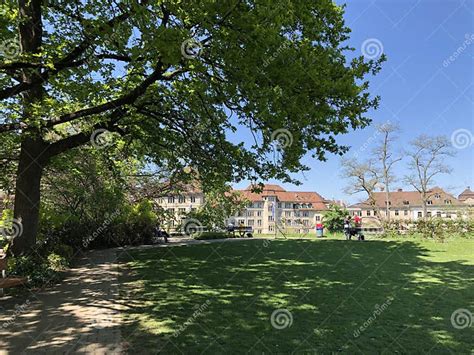 Lindenhof - History-steeped Oasis in the Heart of the City of Zurich Stock Image - Image of ...