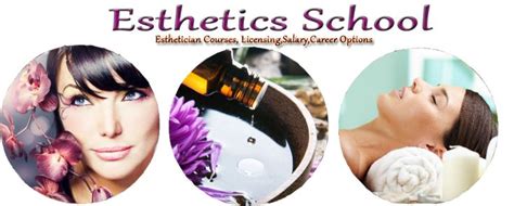 Esthetics School: Esthetician Schools in Texas | Esthetician school ...