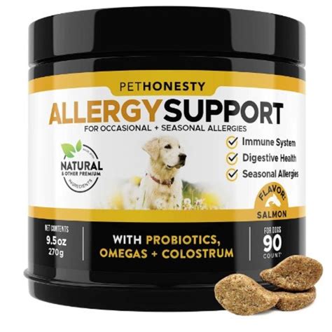 The Best Natural Allergy Medications For Dogs