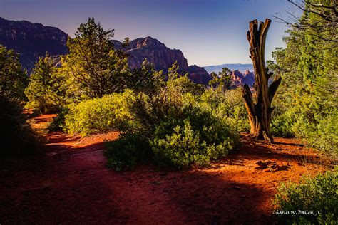 Digital Oil Painting of an Arizona Desert Sunrise – Charles W. Bailey, Jr., Digital Artist