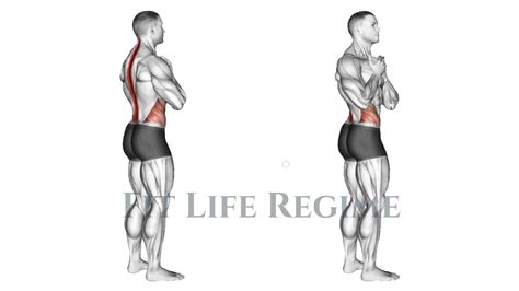 Standing Oblique Twist Benefits and Variations