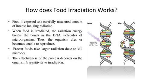 The food irradiation process