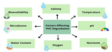 Environmental factors affecting the biodegradation of petroleum ...