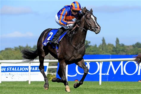 All Eyes On Auguste Rodin, As Derby Favourite Goes On Trial At Doncaster | Racing and Sports