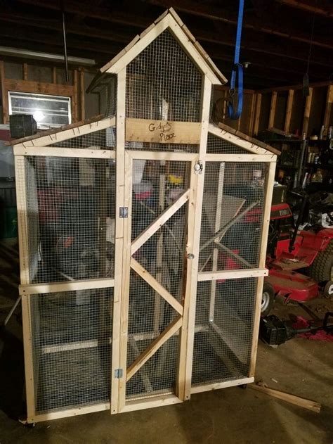 Squirrel enclosure | Squirrel, Diy projects, Outdoor