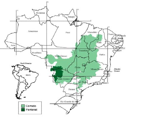 South America and Brazilian map showing Cerrado and Pantanal area.... | Download Scientific Diagram