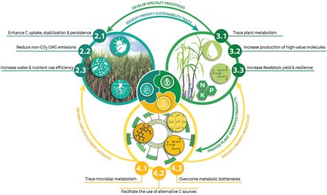 Accelerating the development of a sustainable bioenergy portfolio through stable isotopes ...