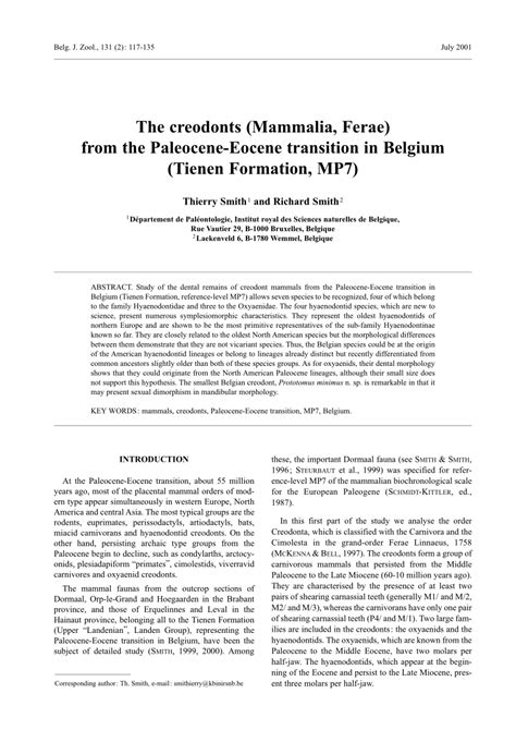 (PDF) The creodonts (Mammalia, Ferae) from the Paleocene-Eocene transition in Belgium (Tienen ...