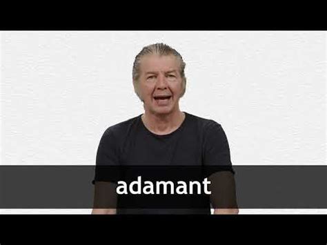 ADAMANT definition in American English | Collins English Dictionary