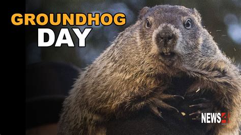 It's Groundhog Day... again! - News4WInnipeg