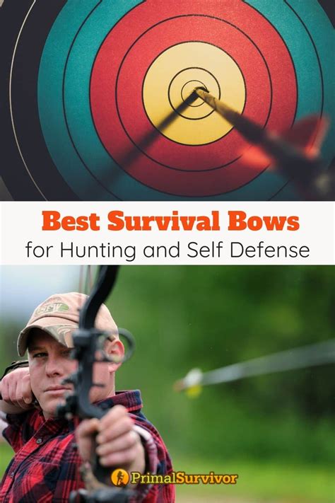 Best Survival Bows For Hunting and Self Defense