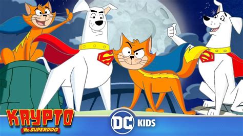 Krypto The Superdog | Krypto And Streaky Save The Day | Comics2Film