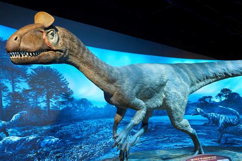 6 Exhibits For Family Fun at the Buffalo Museum of Science