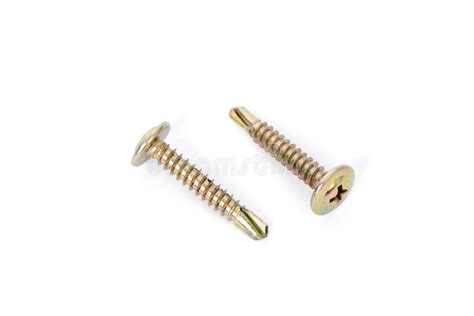 Two screws stock photo. Image of bolt, object, detail - 32991026