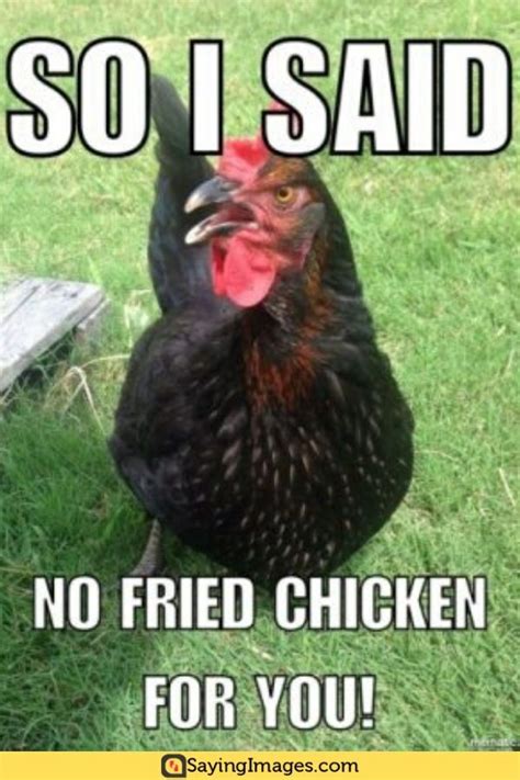 20 Chicken Memes That Are Surprisingly Funny - SayingImages.com | Funny chicken memes, Chicken ...