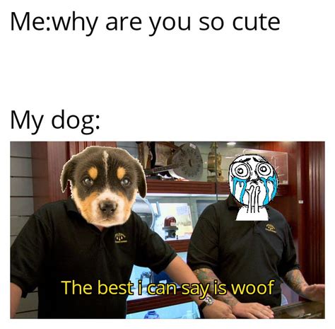 Woof woof woof : r/memes