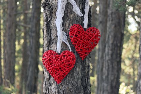 RED WILLOW HEARTS - Set of 2 Hearts with Lace - Wicker hea… | Flickr