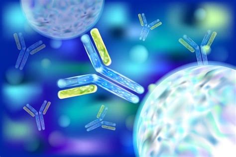 Inmunoglobulina E (IgE): valores normales y para qué sirve - Tua Saúde