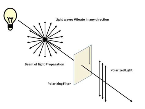 Polarimeter Diagram