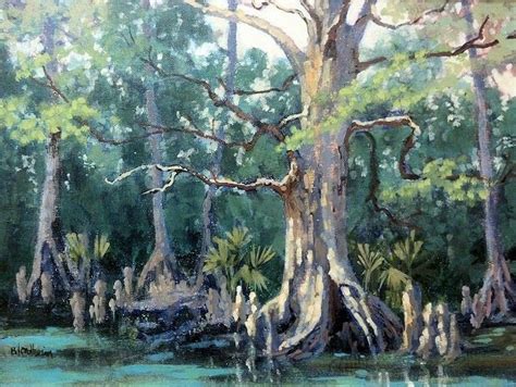 paintings of bald cypress trees | Florida Bald Cypress Tree | Art, Landscape art, Cypress trees