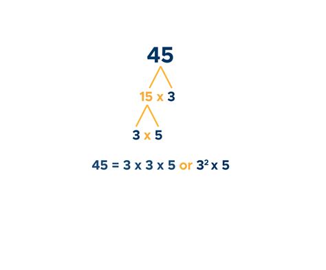 Prime Numbers: Factorization & Factor Tree - Curvebreakers