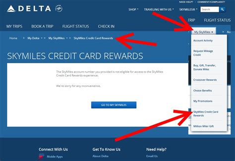 Just what is: "SkyMiles Credit Card Rewards" on Delta .com? We have the ...