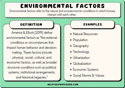 15 Environmental Factors Examples