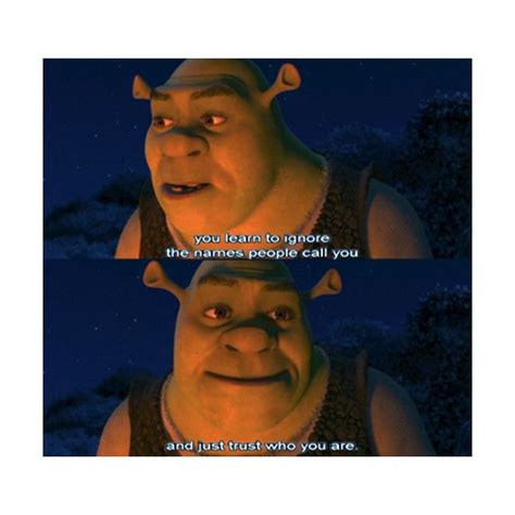 Shrek, :) | Shrek quotes, Shrek, Movie quotes