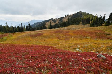 Autumn in the Okanogan | Okanogan-Wenatchee National Forest,… | Flickr