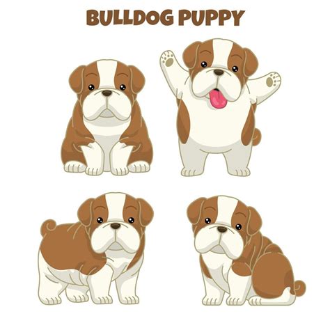 set cute bulldog puppy 23155045 Vector Art at Vecteezy