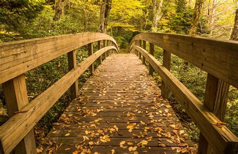 Local Hiking Trails near Blowing Rock | Hemlock Inn