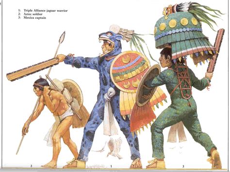 mrmoyer / Aztec Military | Aztec warrior, Aztec empire, Warriors illustration